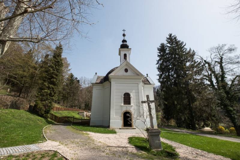 pszentlaszlo_arboretum-20180412-141 (Egyedi).jpg